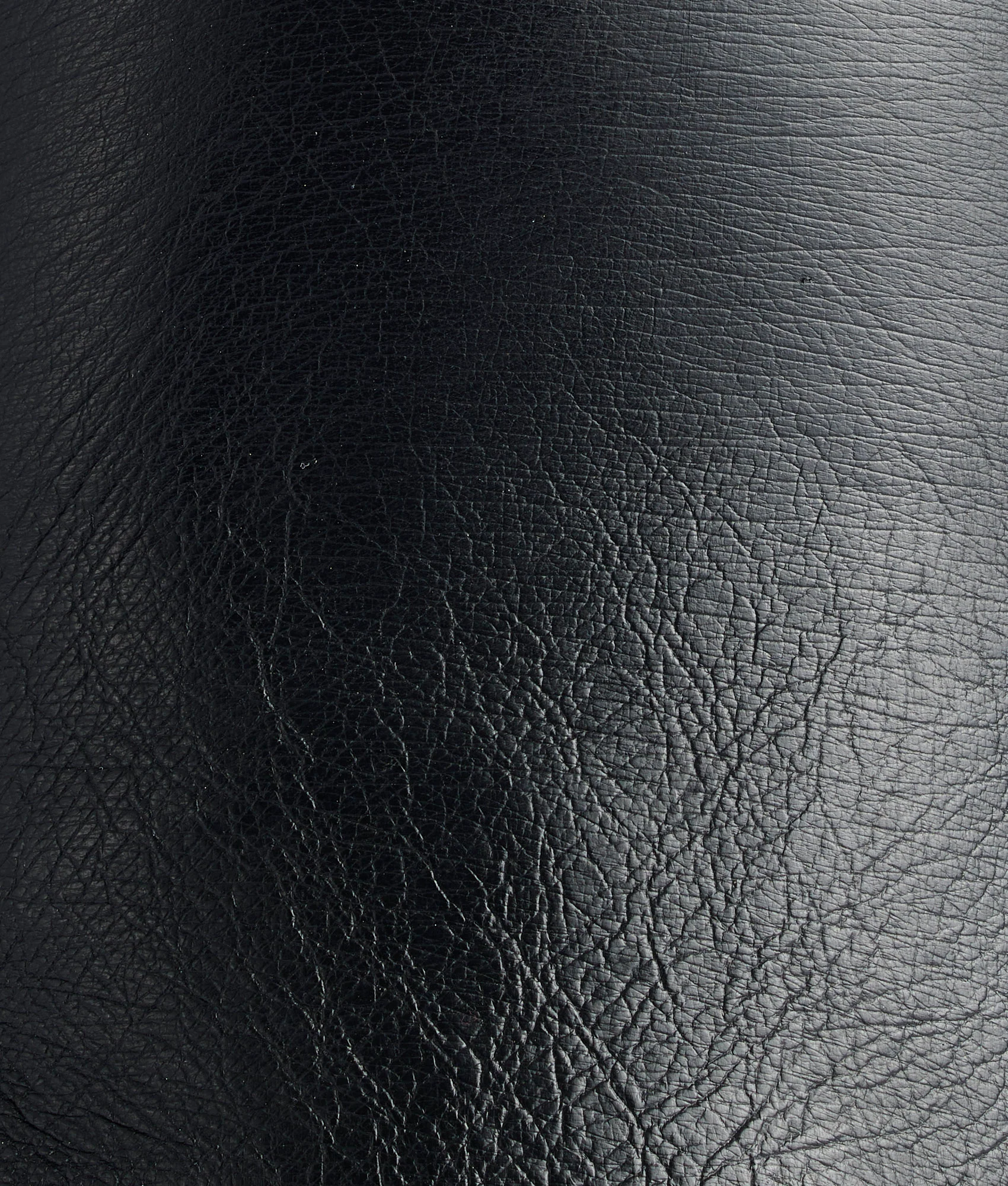 Ridgeline Exotic Pull On :: Black - Image 10