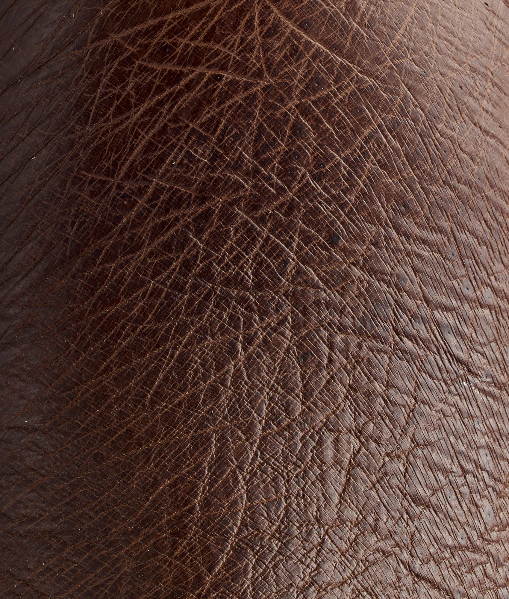 Ridgeline Exotic Pull On :: Tobacco - Image 8