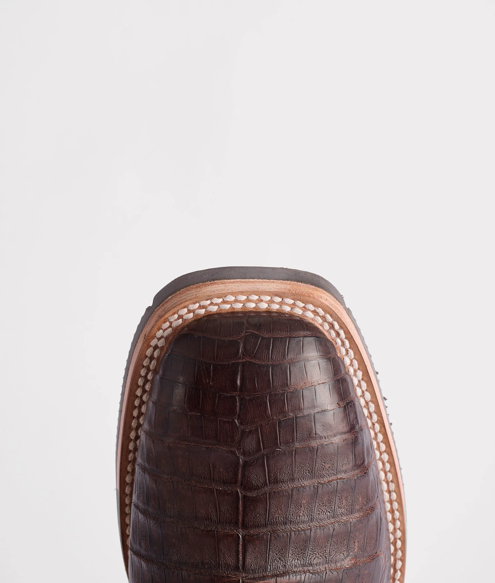 Rowdy Caiman :: Chocolate - Image 7