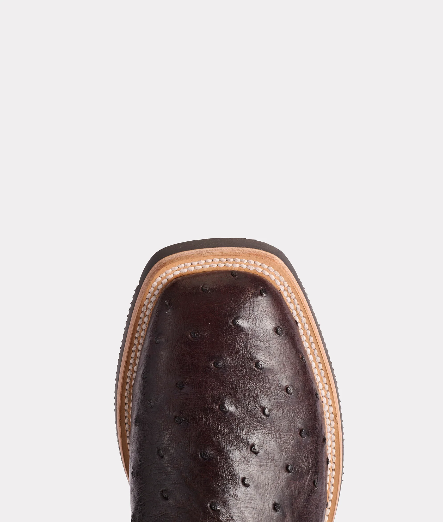 Rowdy Ostrich :: Antique Chocolate - Image 7