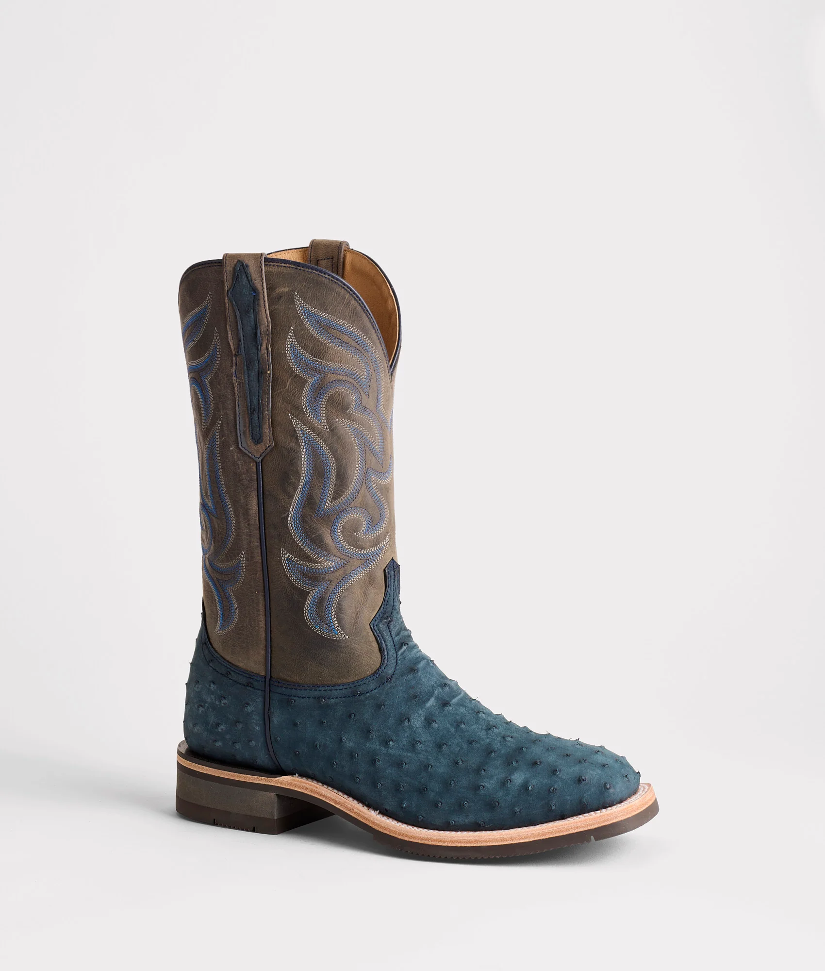 Rowdy Ostrich :: Navy - Image 3