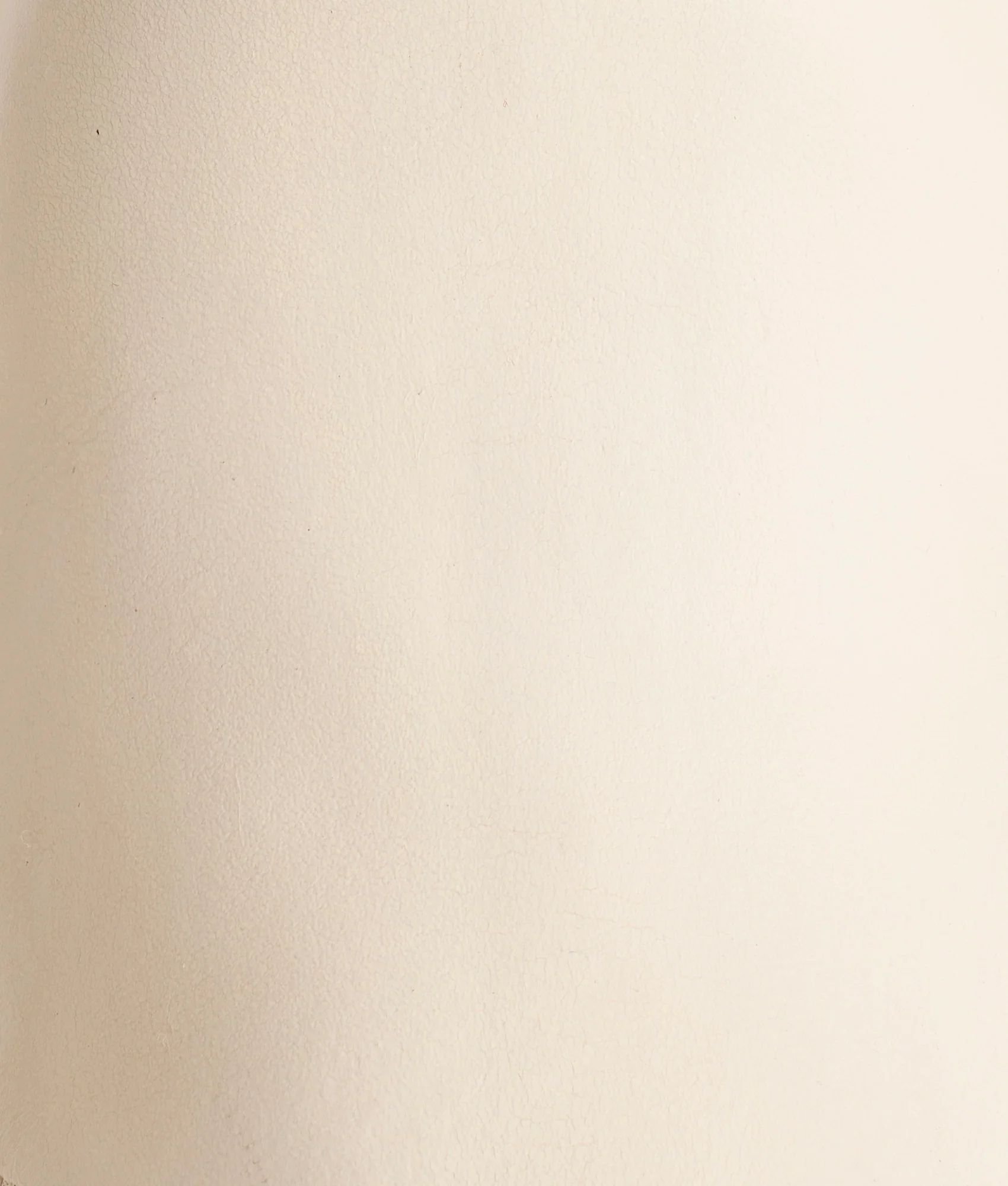 Shanae :: Cream - Image 8