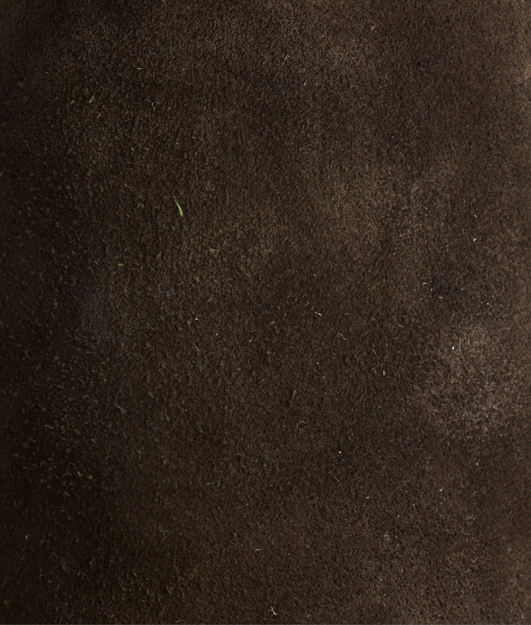 Stead :: Olive + Leaf - Image 8