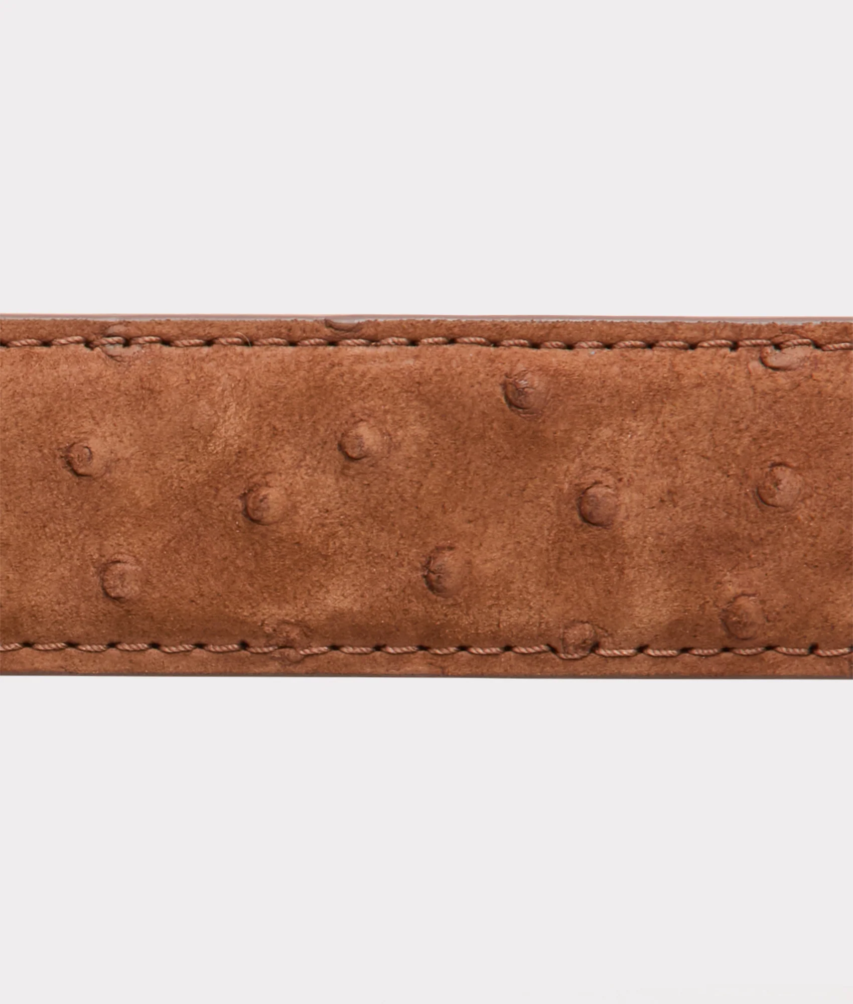 Straight Shooter Belt :: Tobacco - Image 6