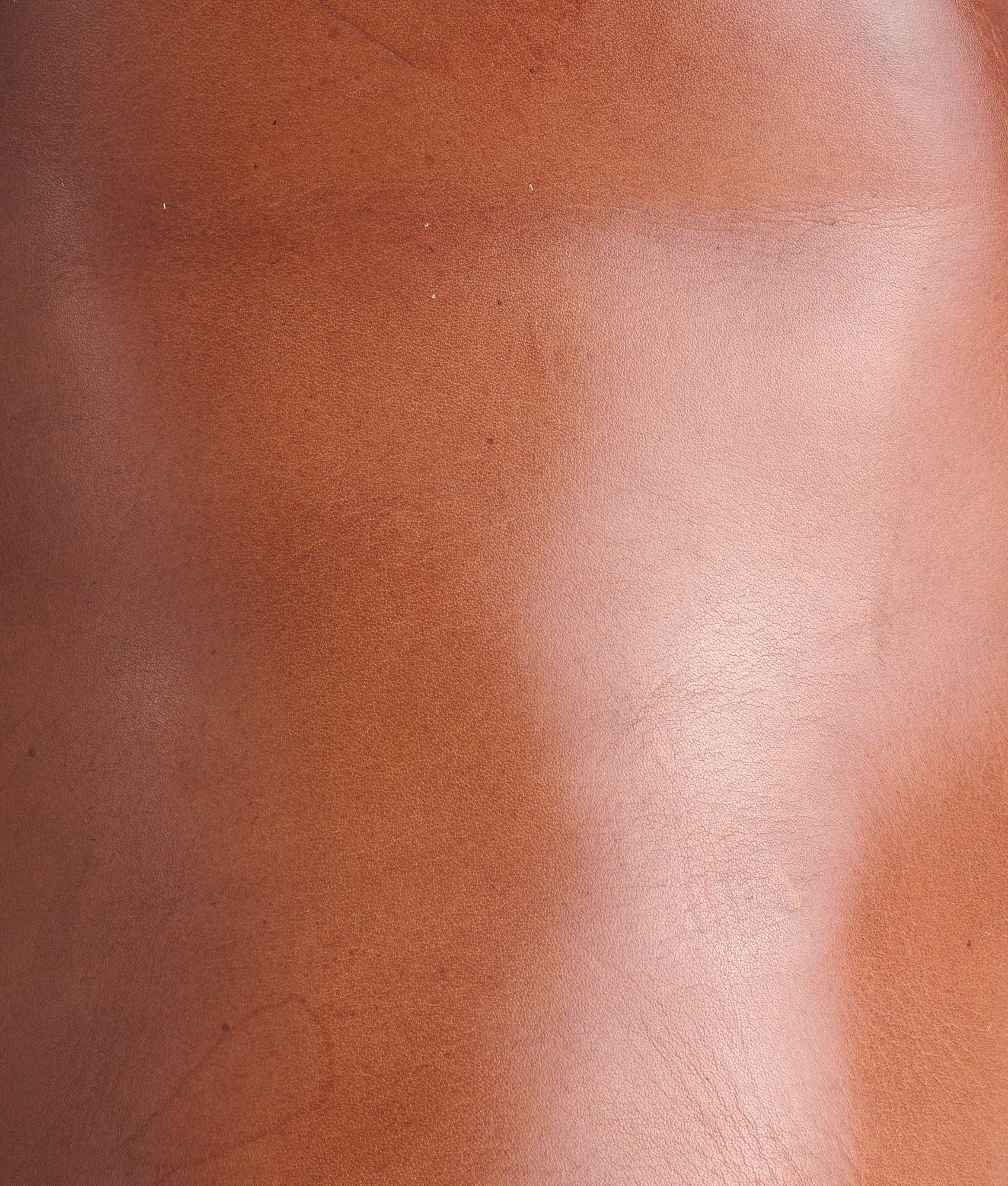 Sumter :: Dark Brown - Image 8