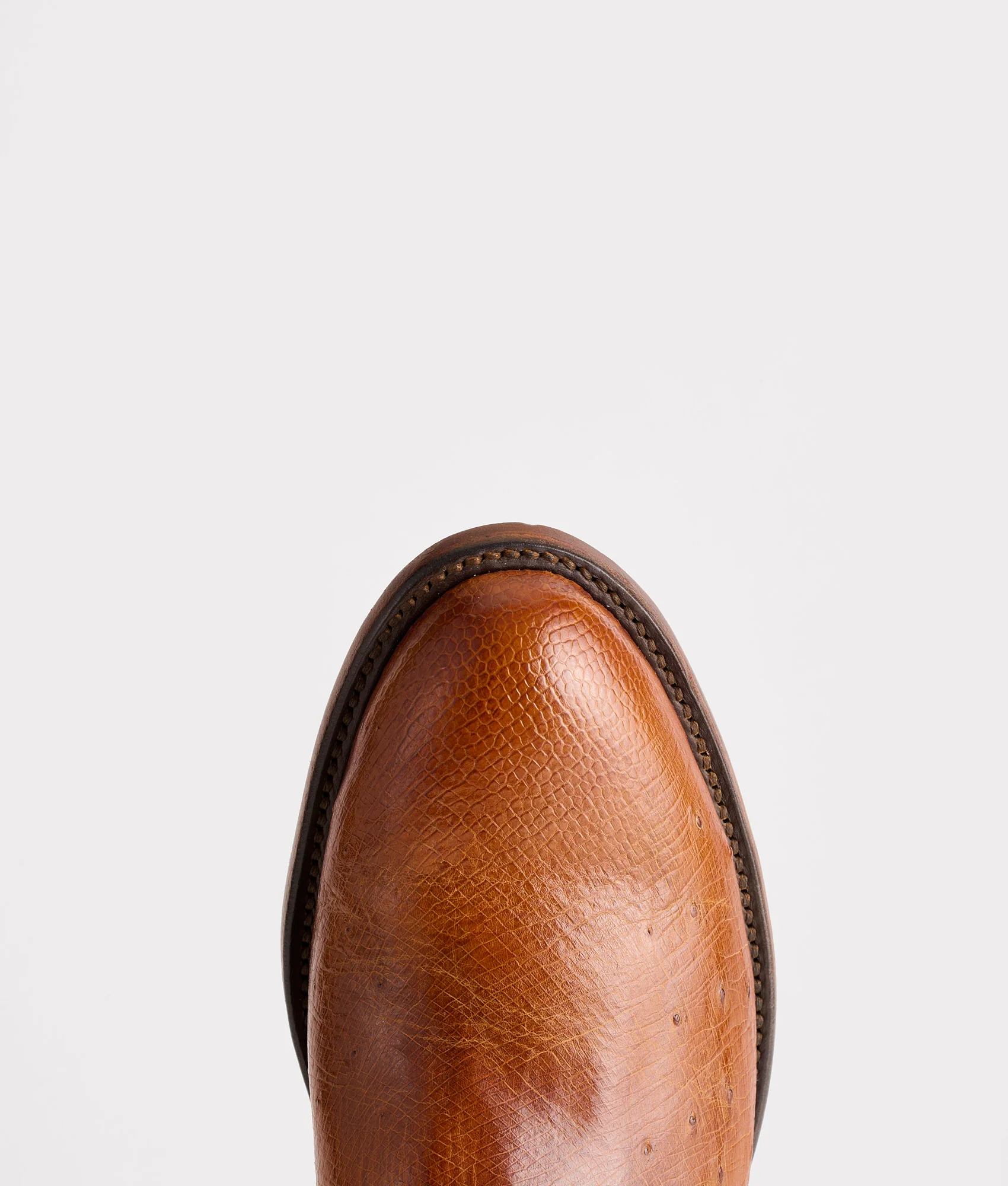 Sunset Exotic :: Cognac - Image 7
