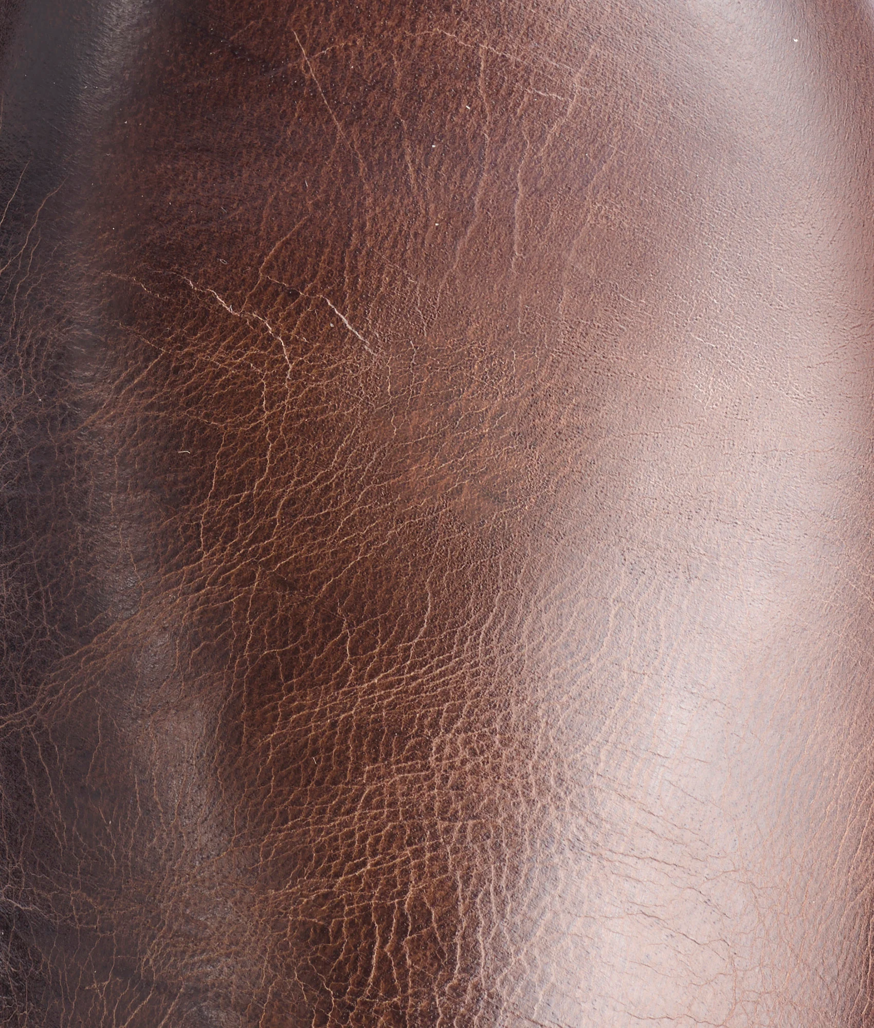 Sunset Roper :: Chocolate - Image 10