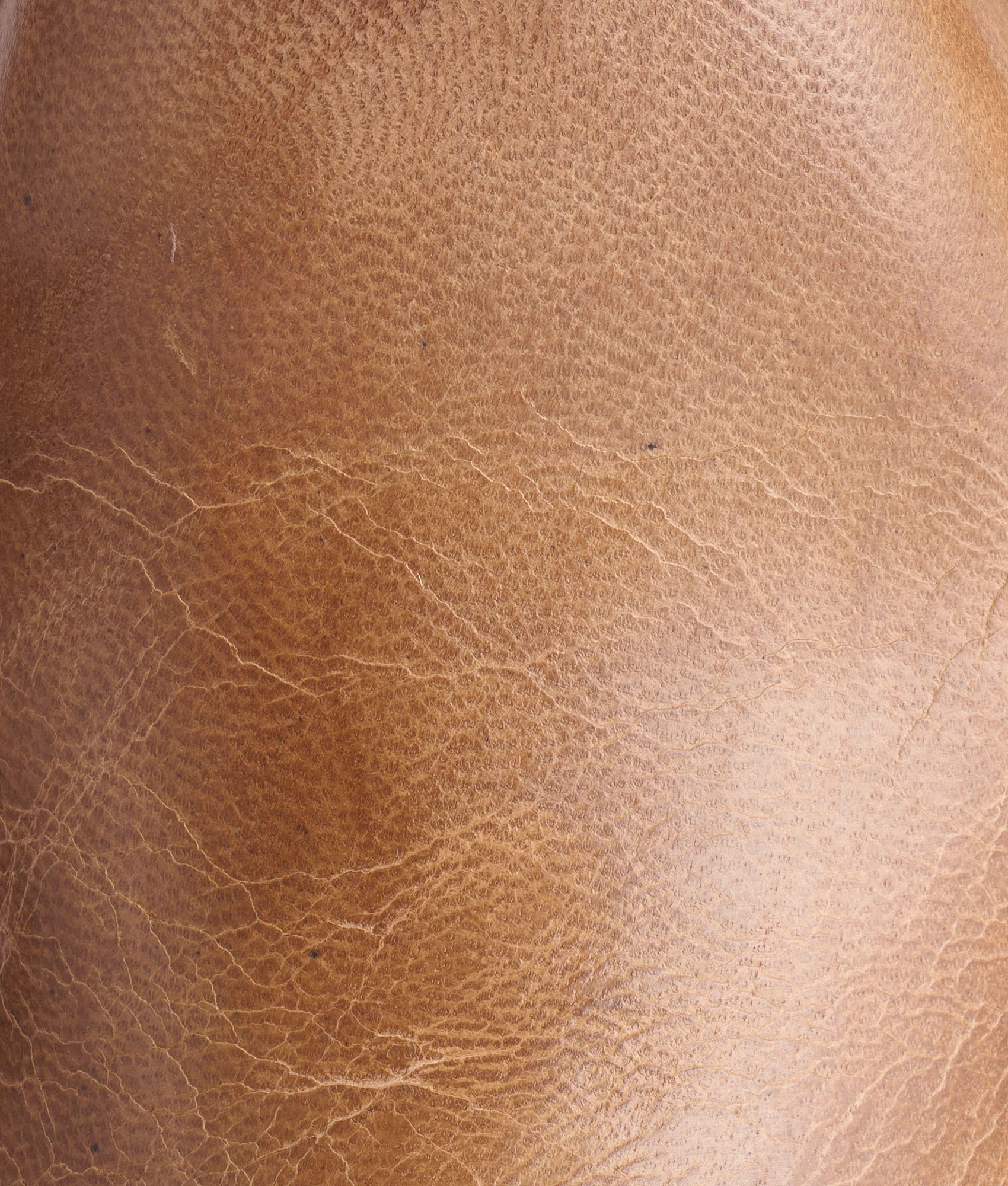 Sunset Roper :: Pearl Bone - Image 8