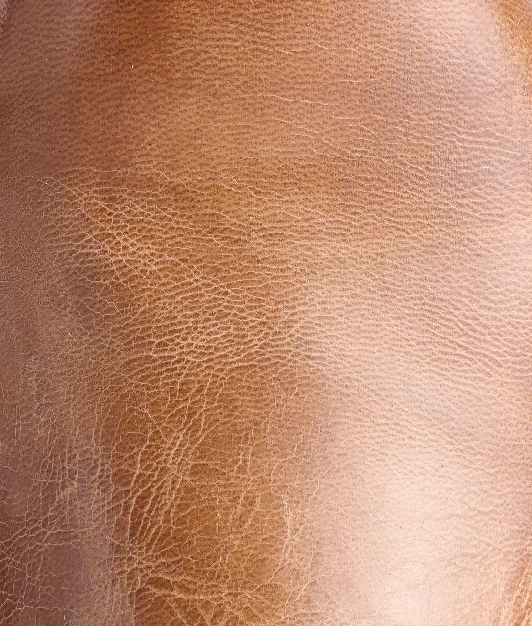Sunset Roper :: Tan Goat - Image 10
