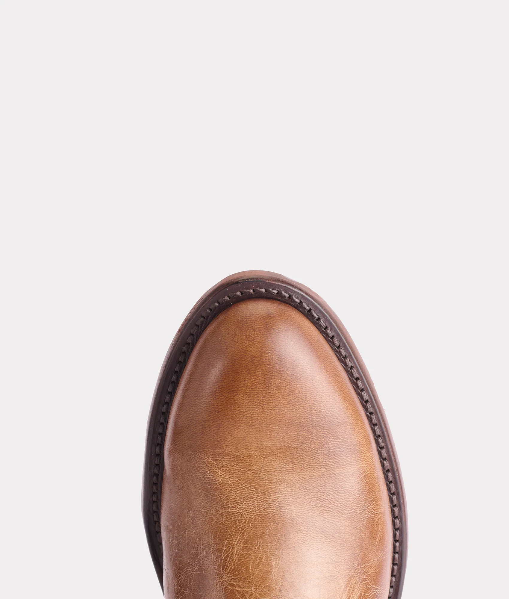 Sunset Roper :: Tan Goat - Image 8