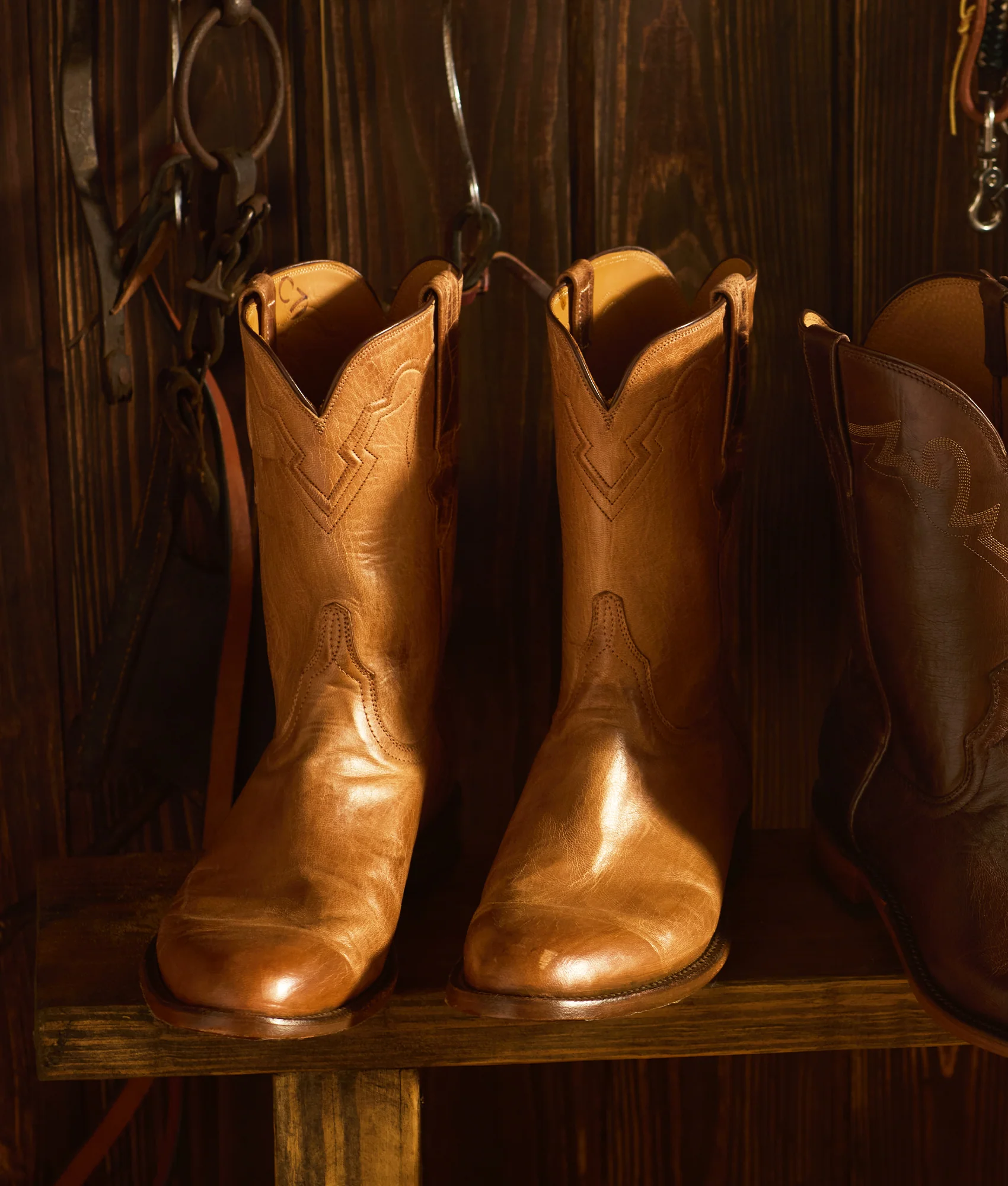 Sunset Roper :: Tan Goat - Image 9