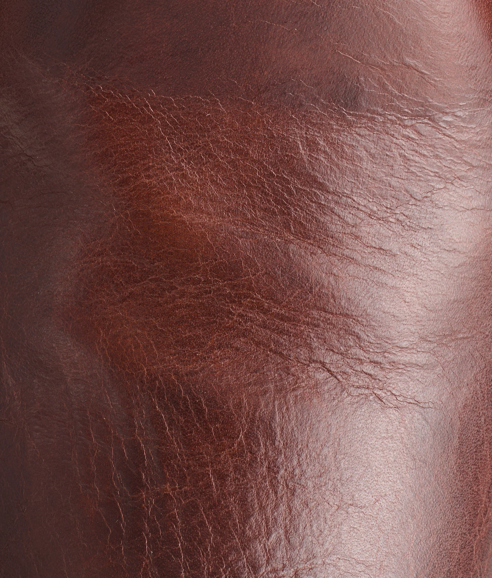 Sunset Roper :: Tan Ranch Hand - Image 8