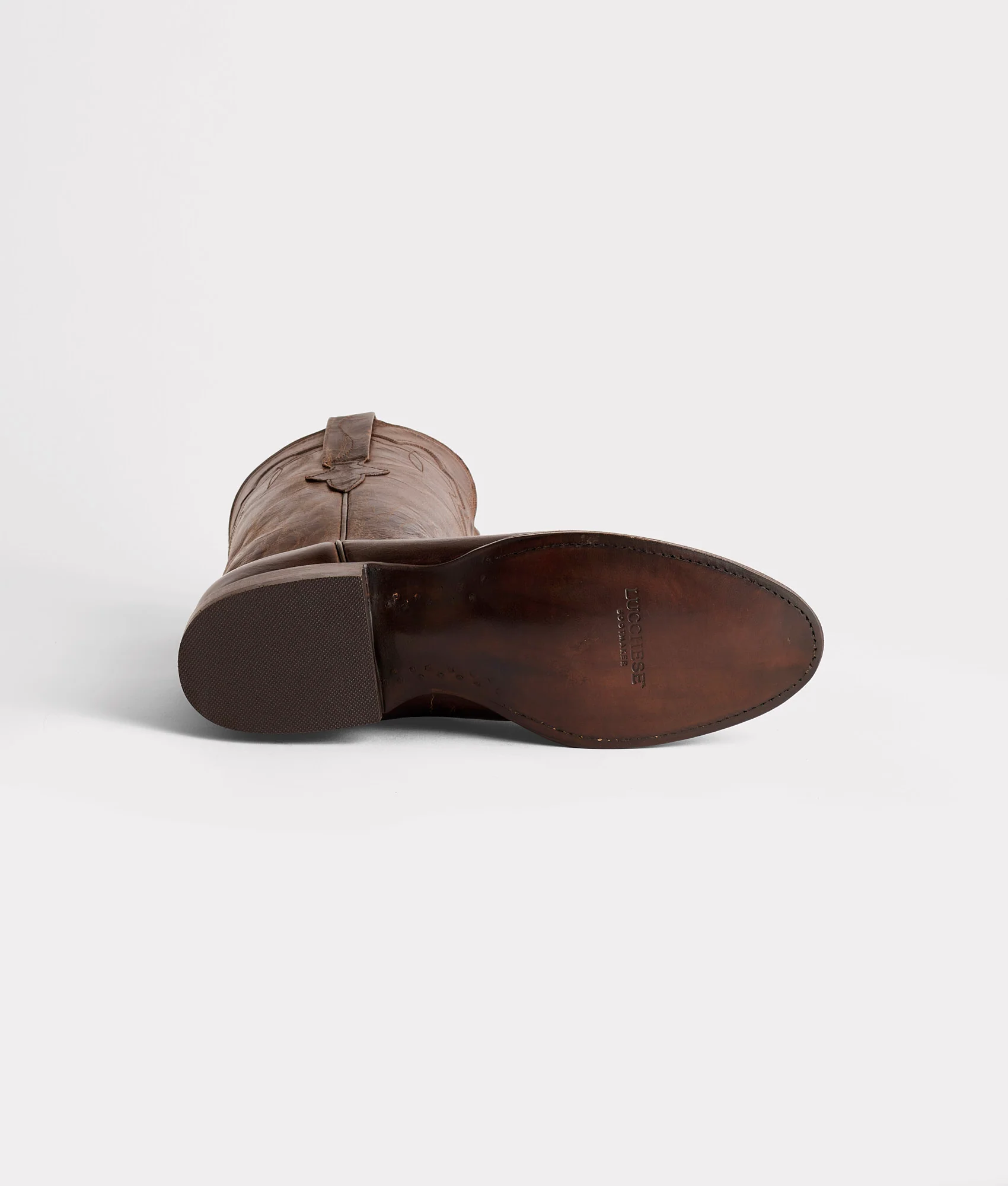 Tanner :: Chocolate - Image 6
