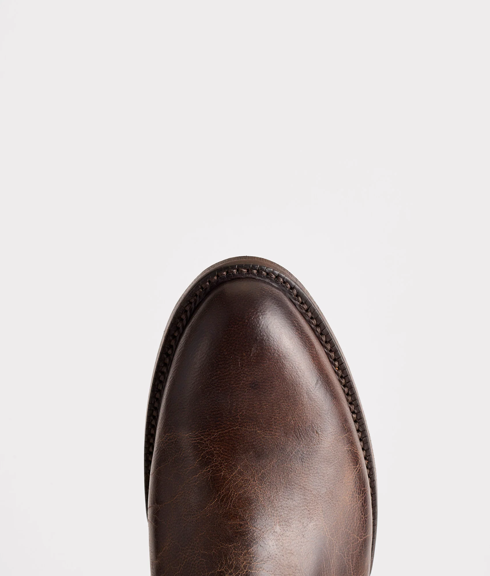 Tanner :: Chocolate - Image 7