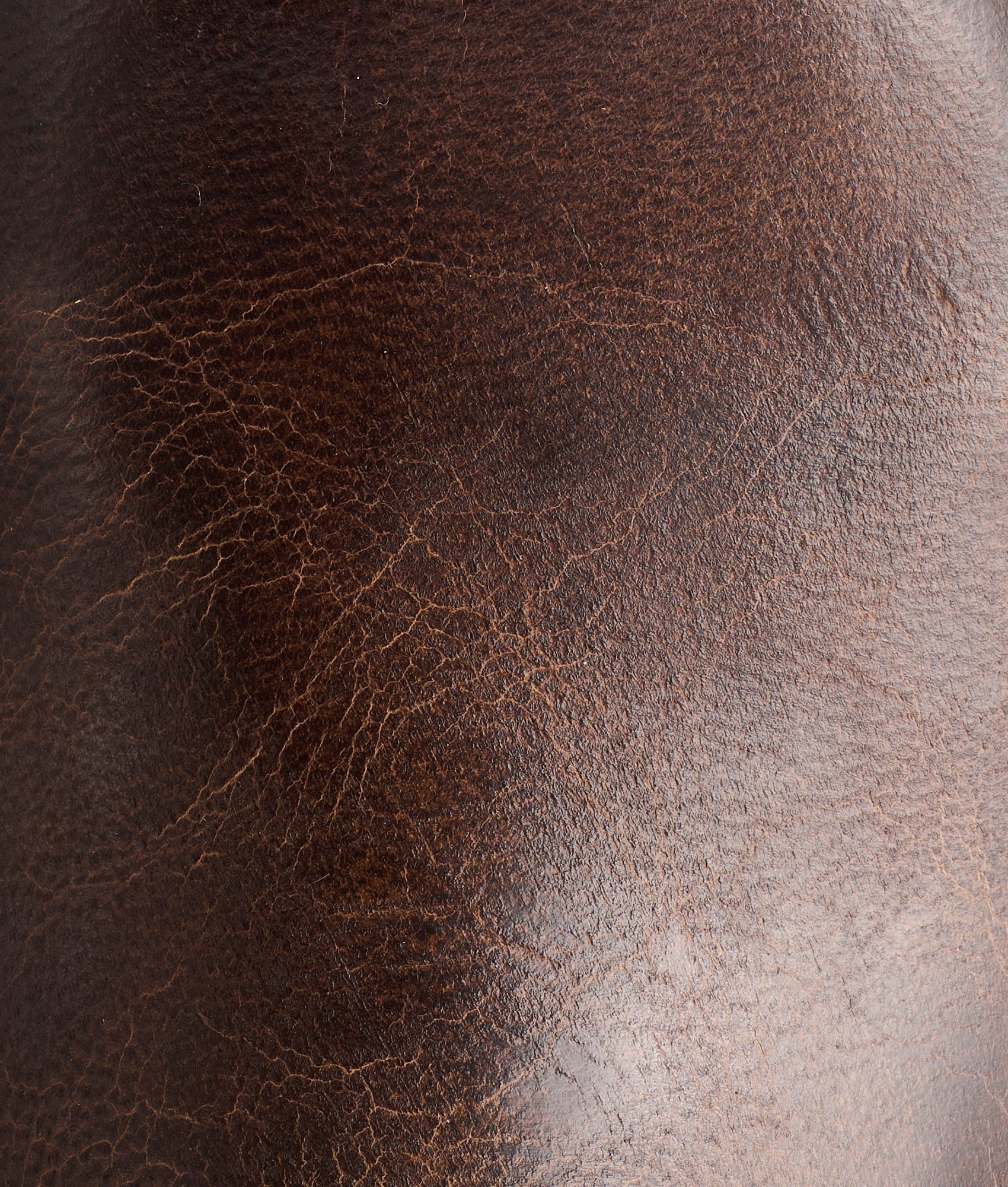Tanner :: Chocolate - Image 8