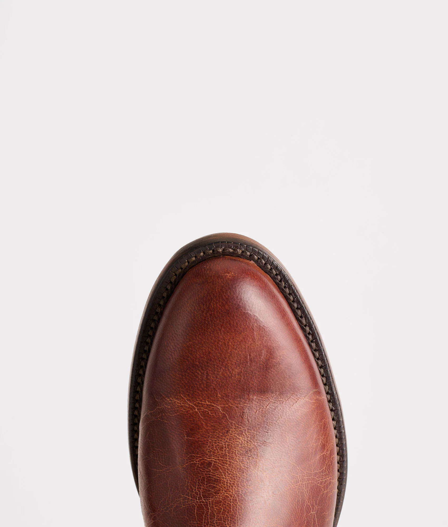 Tanner :: Peanut Brittle - Image 7