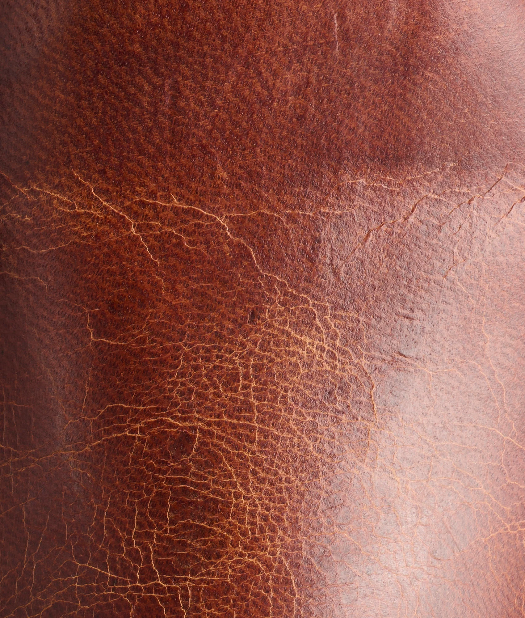 Tanner :: Peanut Brittle - Image 8