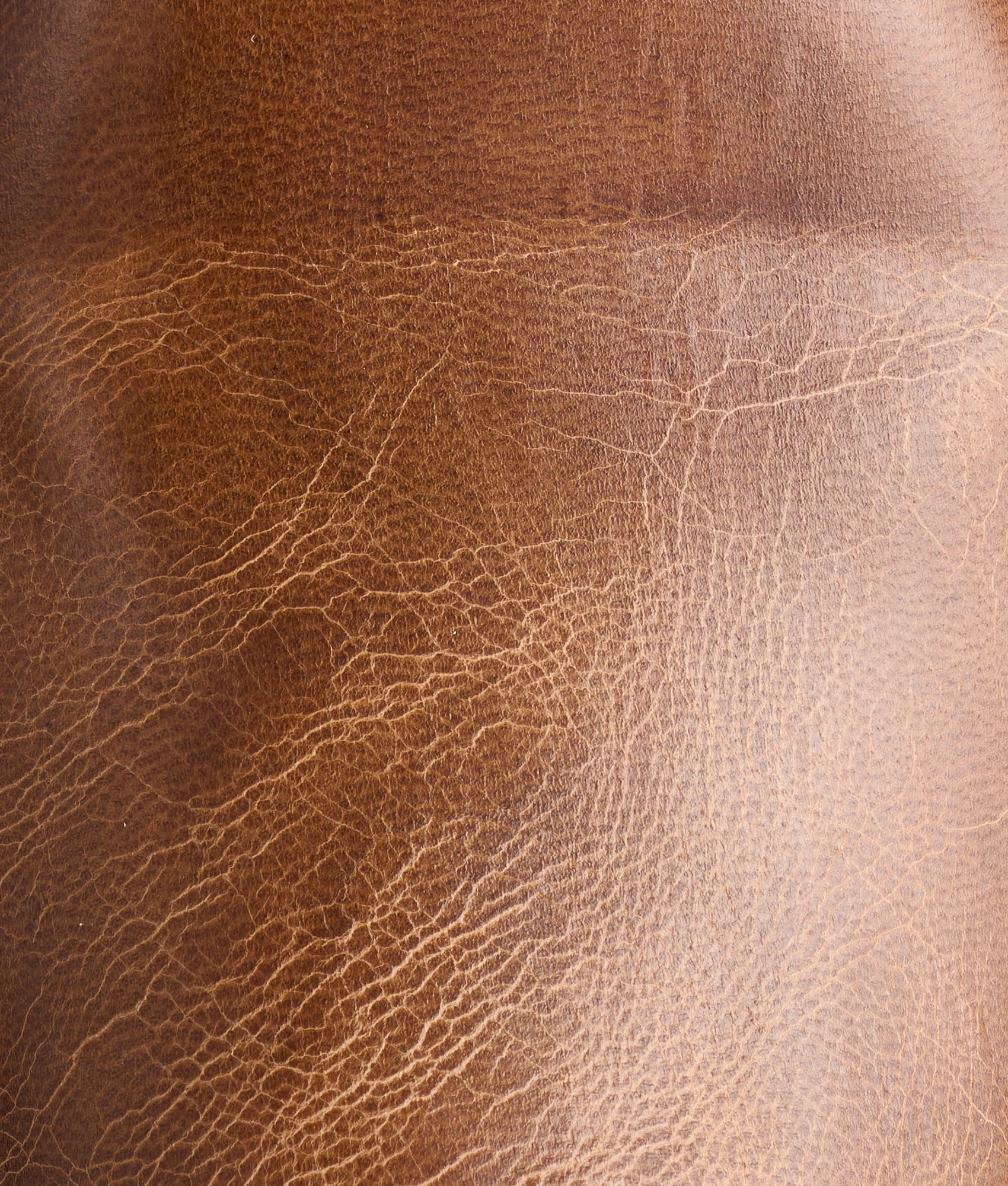 Tanner :: Tan - Image 10