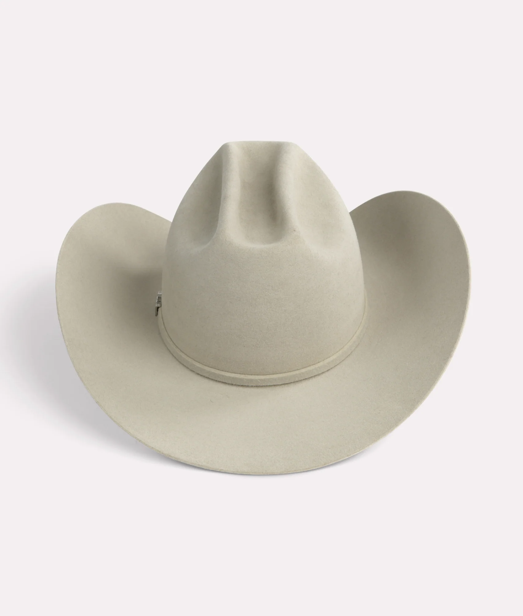 The Alamo :: Silverbelly - Image 5
