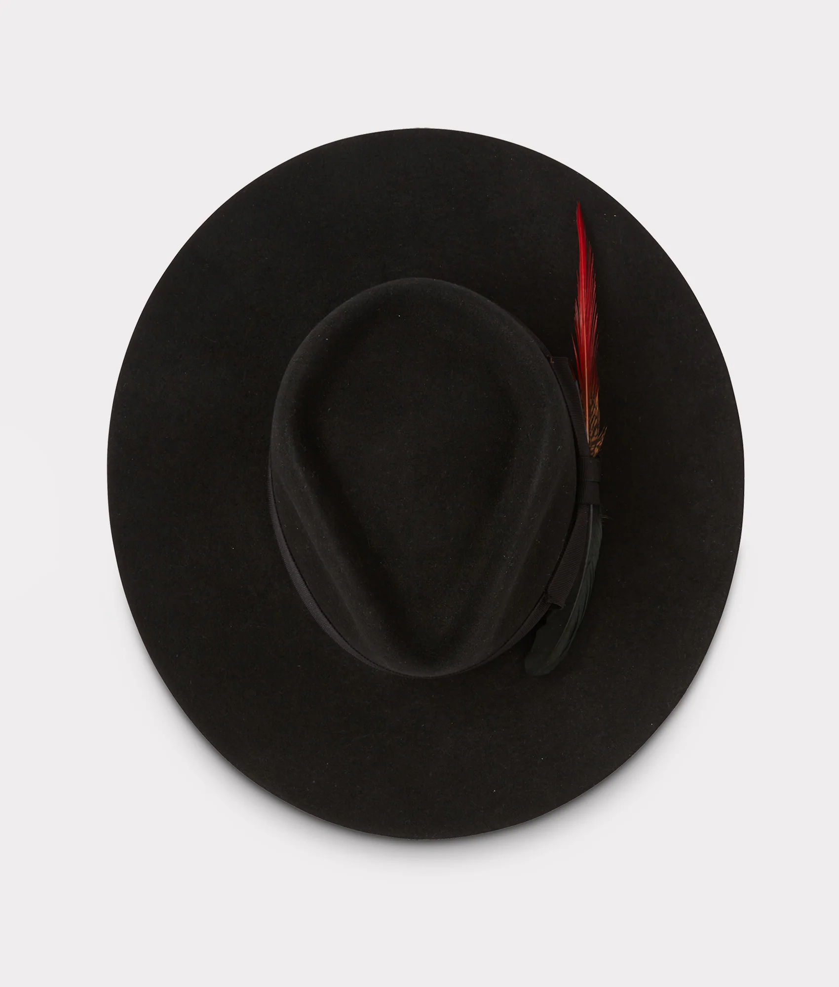The Capitol :: Black - Image 5