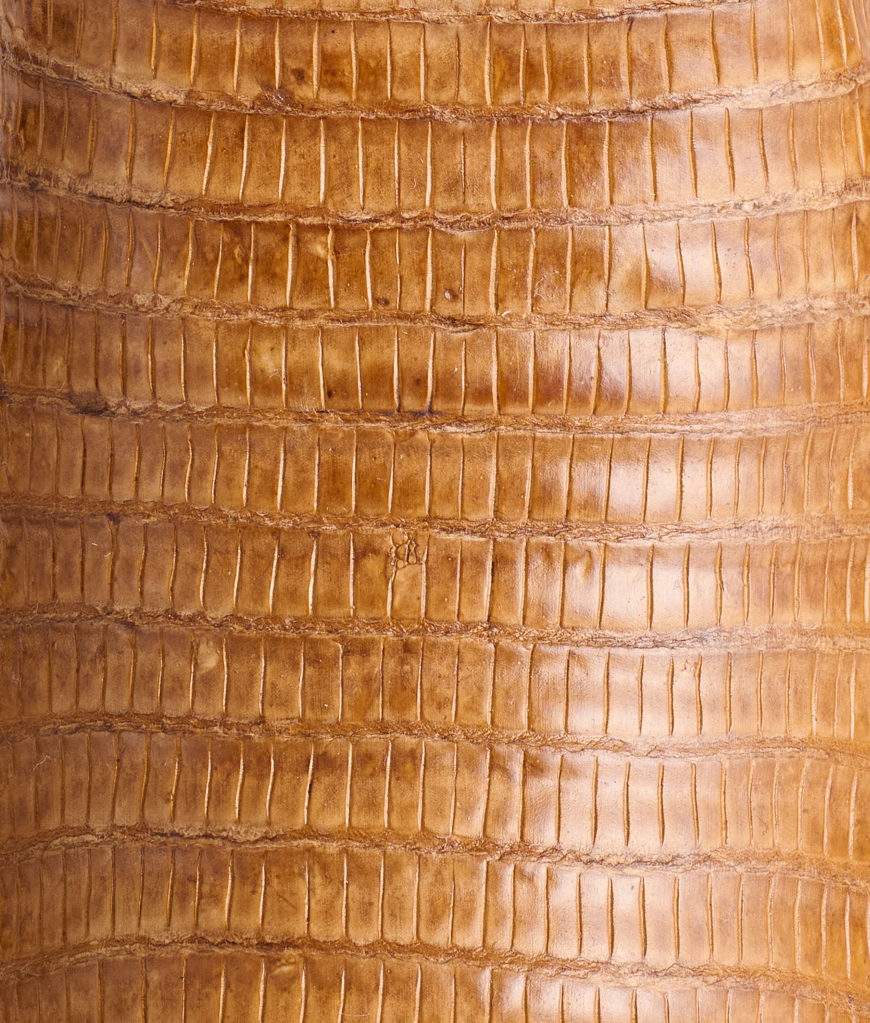 Tilly Exotic :: Tan - Image 10