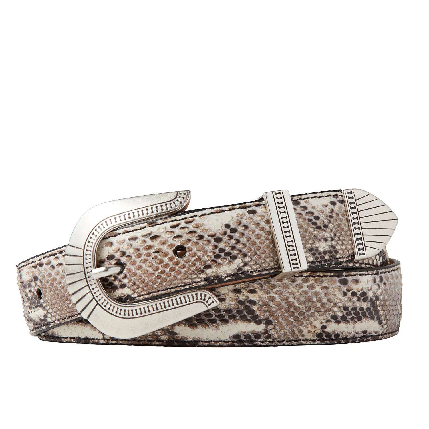 Timeless and Chic - Image 4
