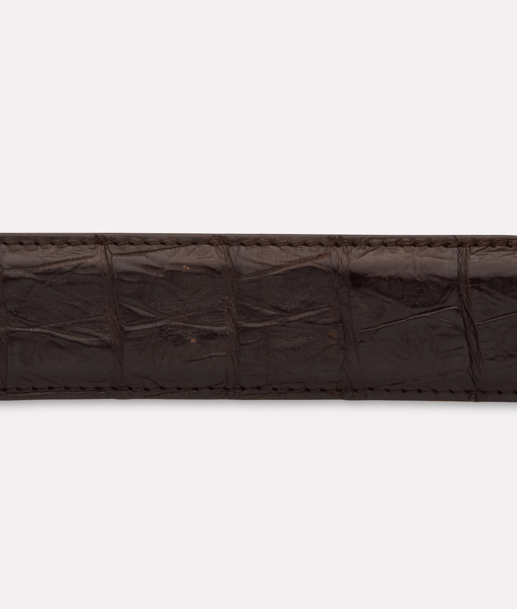 Ultra Belly Caiman :: Chocolate - Image 4