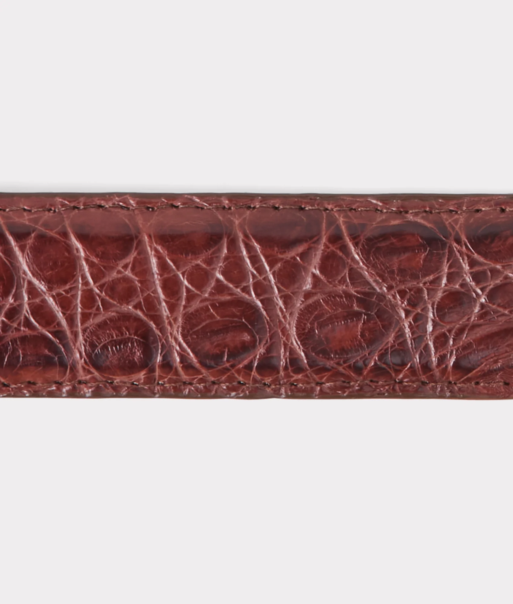 Ultra Belly Caiman Tapered :: Sienna - Image 4
