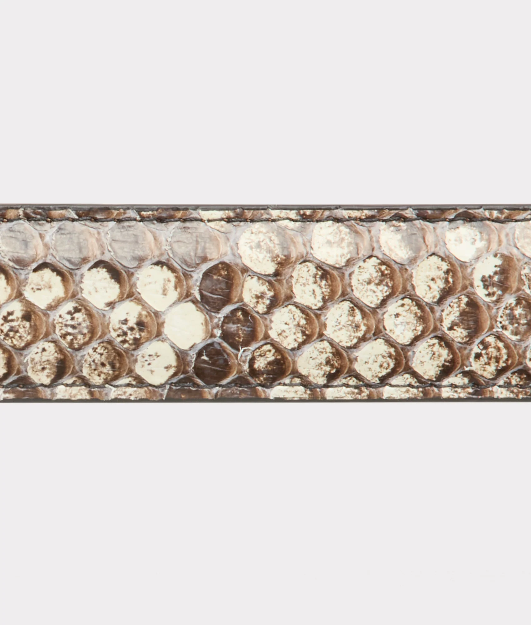 Vita Belt :: Natural - Image 6
