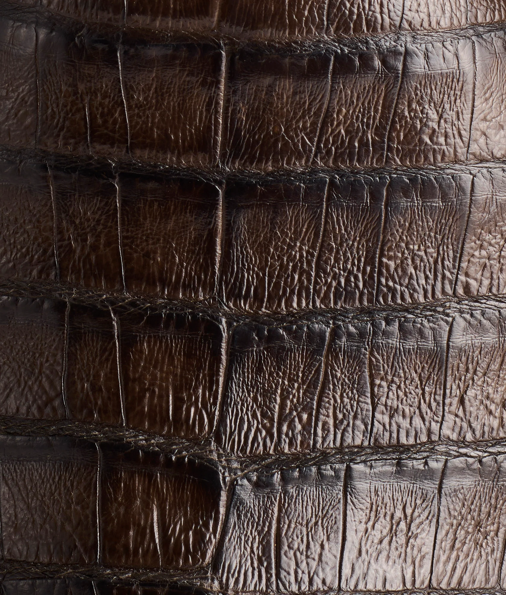 Wilson :: Chocolate - Image 7
