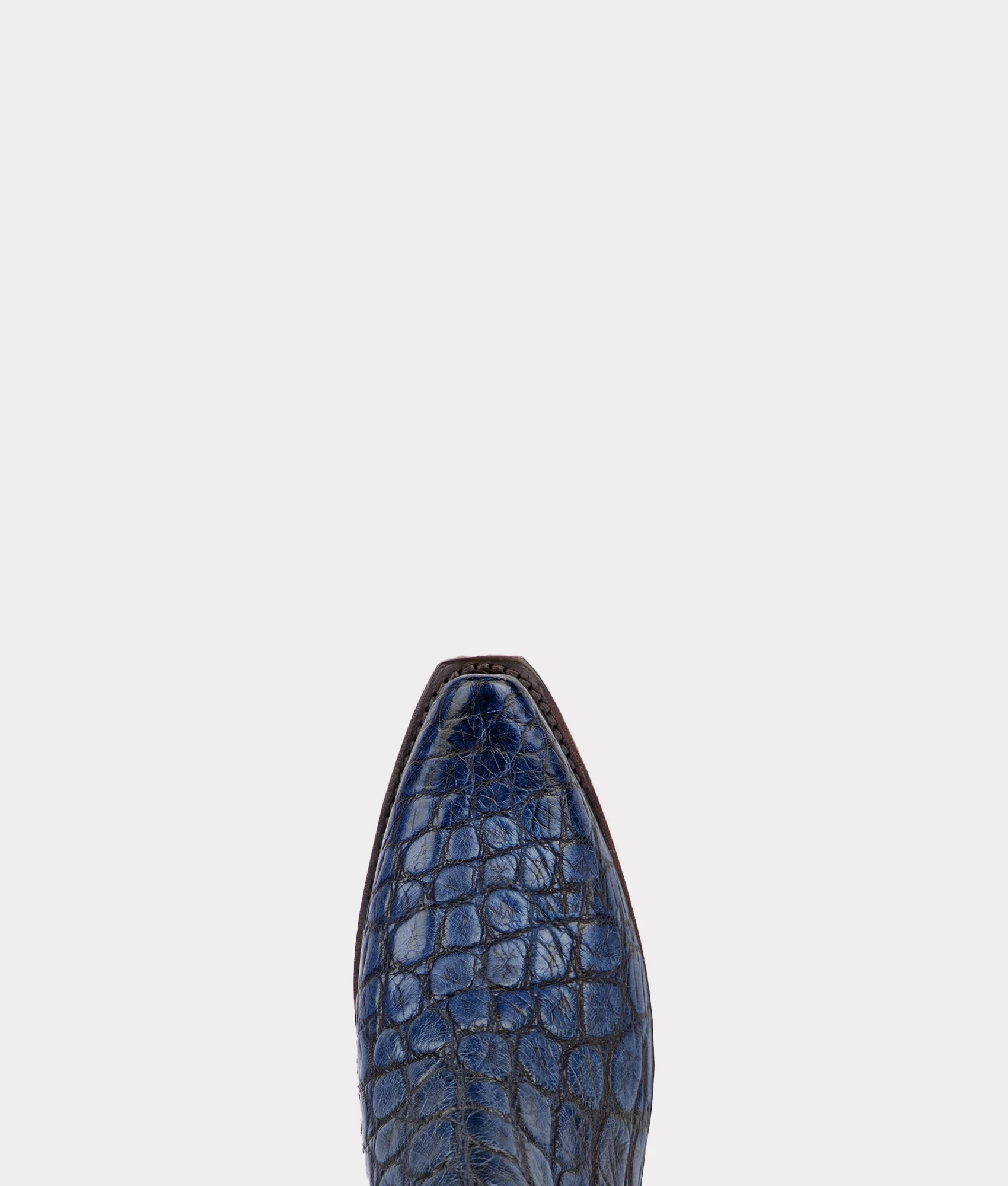 Women's Bluebonnet 140th Anniversary Boot :: Cavalry Blue - Image 5