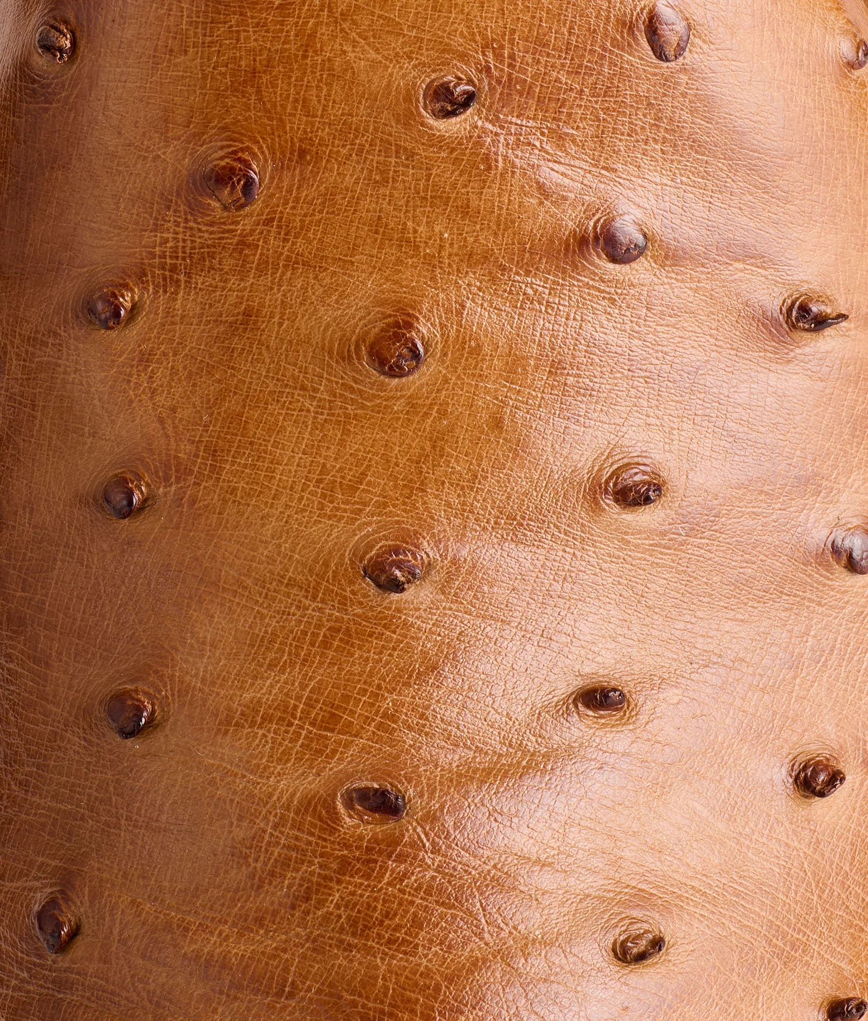 Zane :: Barnwood + Tan - Image 10