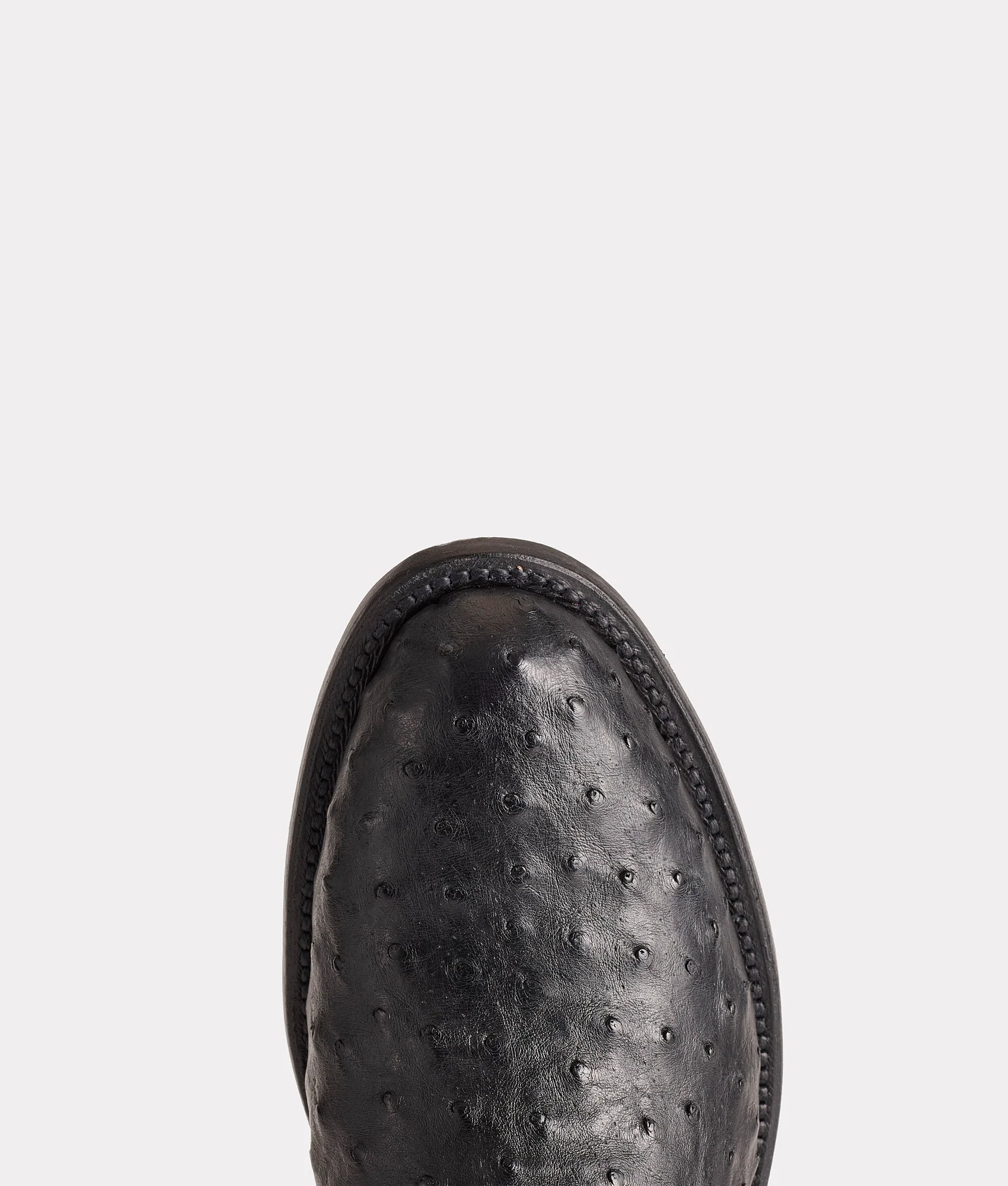 Zane :: Black - Image 8
